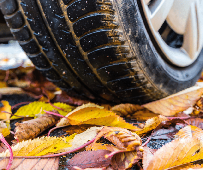 Image of car tire driving on leaves